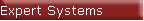 Expert Systems